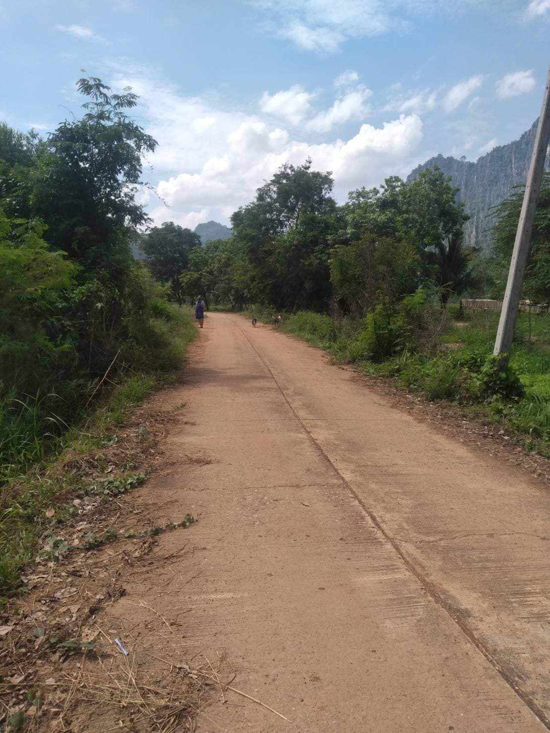 ขายที่ดินอุทัยธานี หนองฉาง 23-1-4