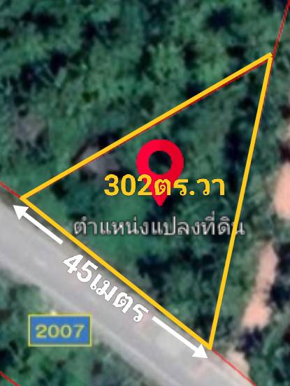ขายที่ดิน สุราษฎร์ธานี 302 ตรว.