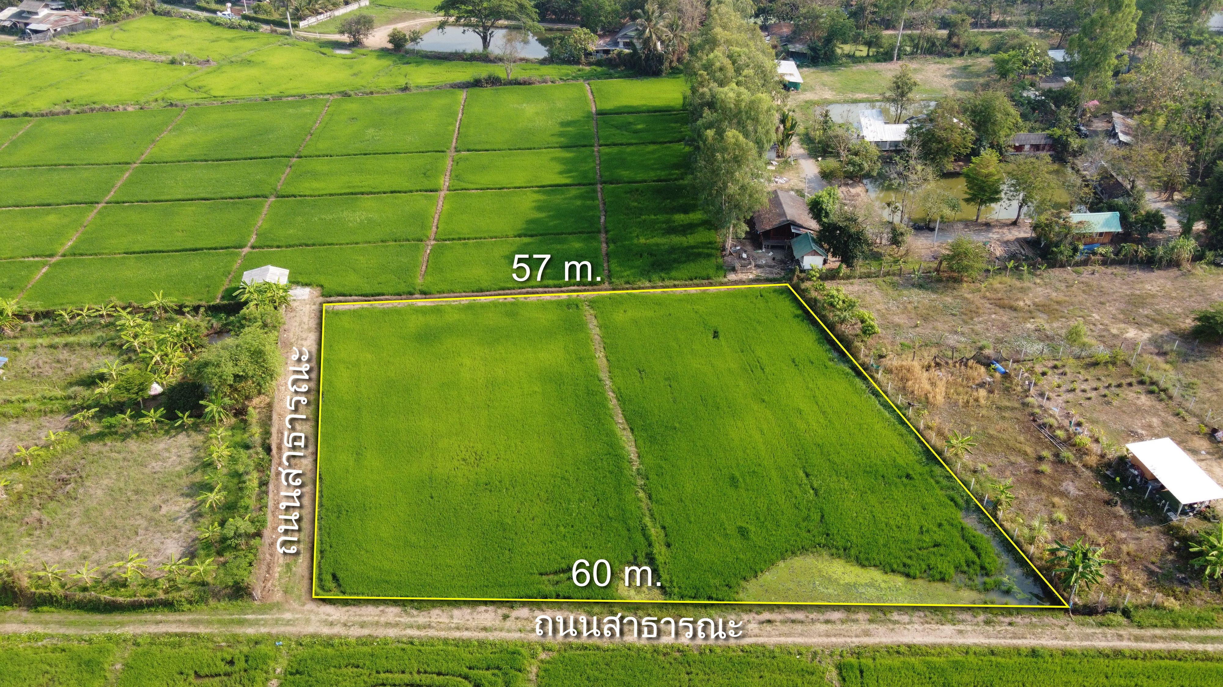 ที่นาแปลงสวย 1-3-13 ไร่ ราคาแสนถูก ใกล้ที่ว่าการอำเภอสันกำแพง