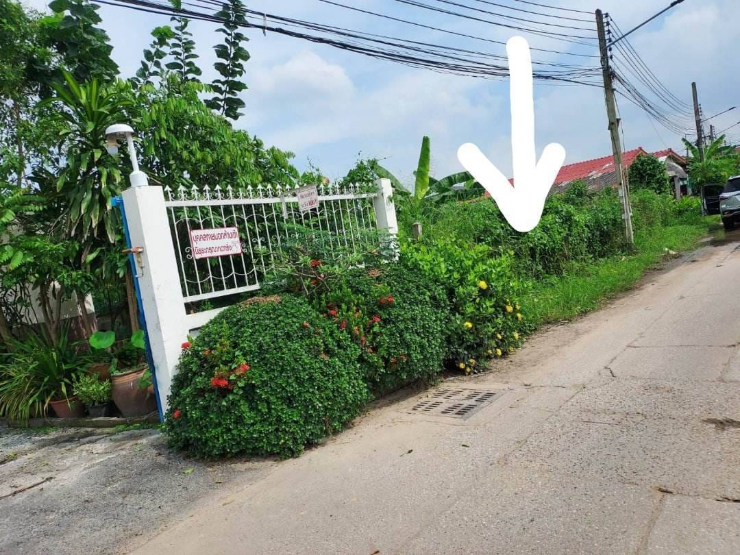 ขายที่ดินใกล้ถนนซอย เนินพลับหวาน 2-2-10