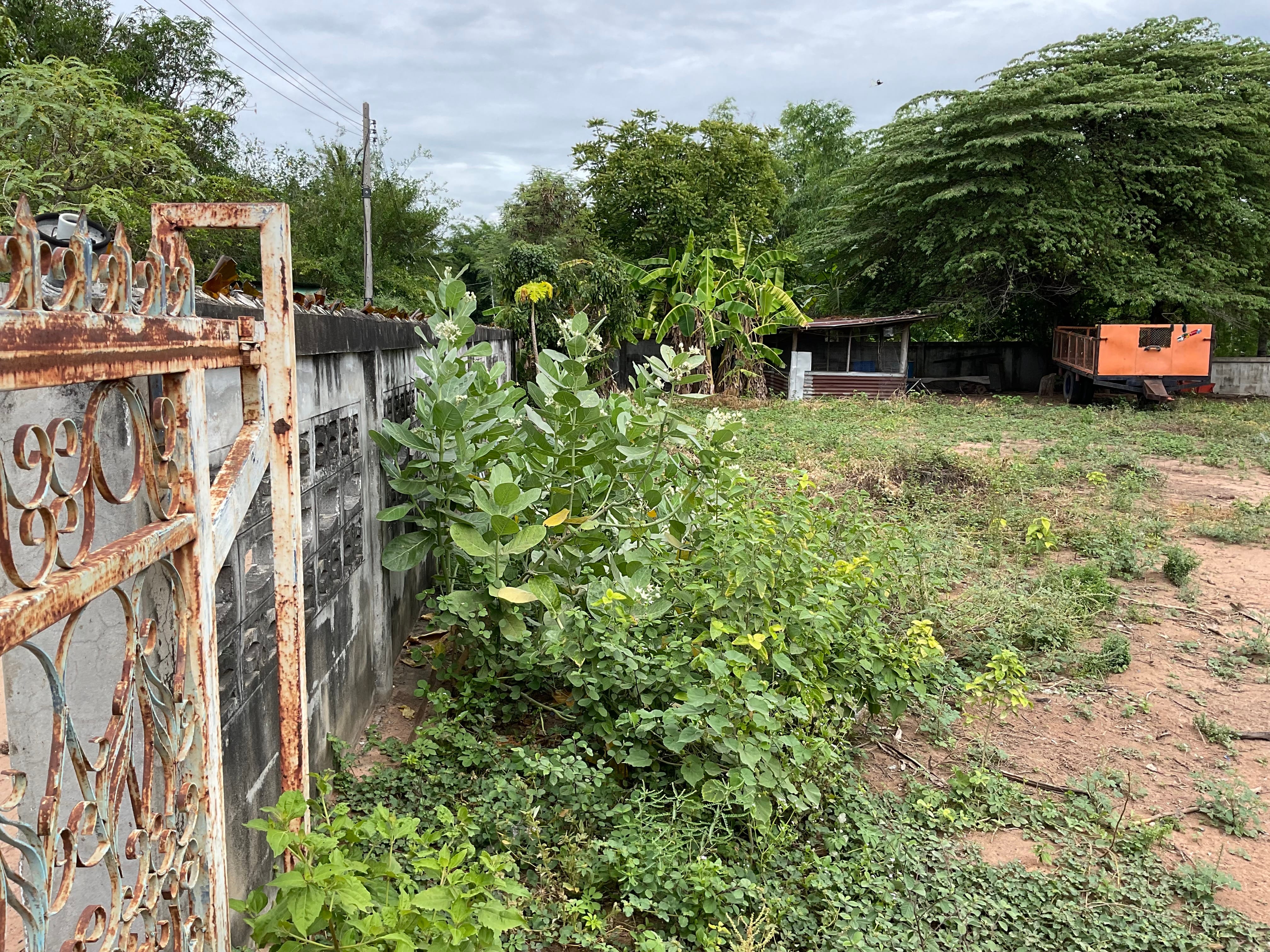 ที่ดินติดถนนมิตรภาพ