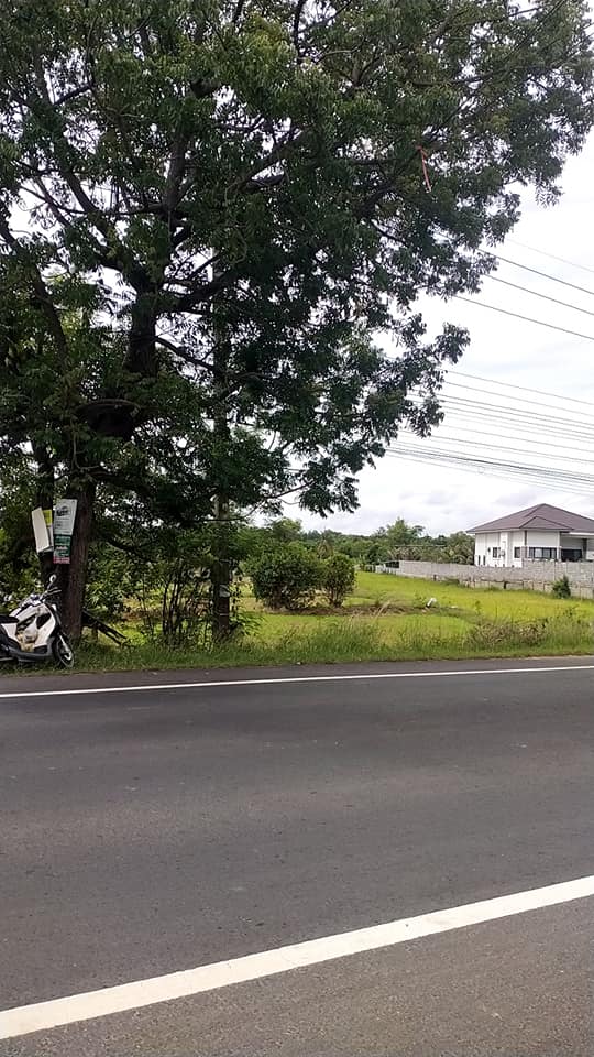 ที่นาติดถนน สมเด็จ อุบลราชธานี 1-3-26.6 ไร่