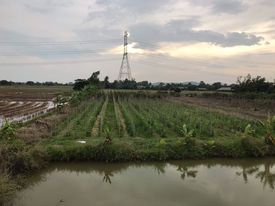 ที่ดินทำการเกษตร บ้านโป่ง ราชบุรี 10 ไร่