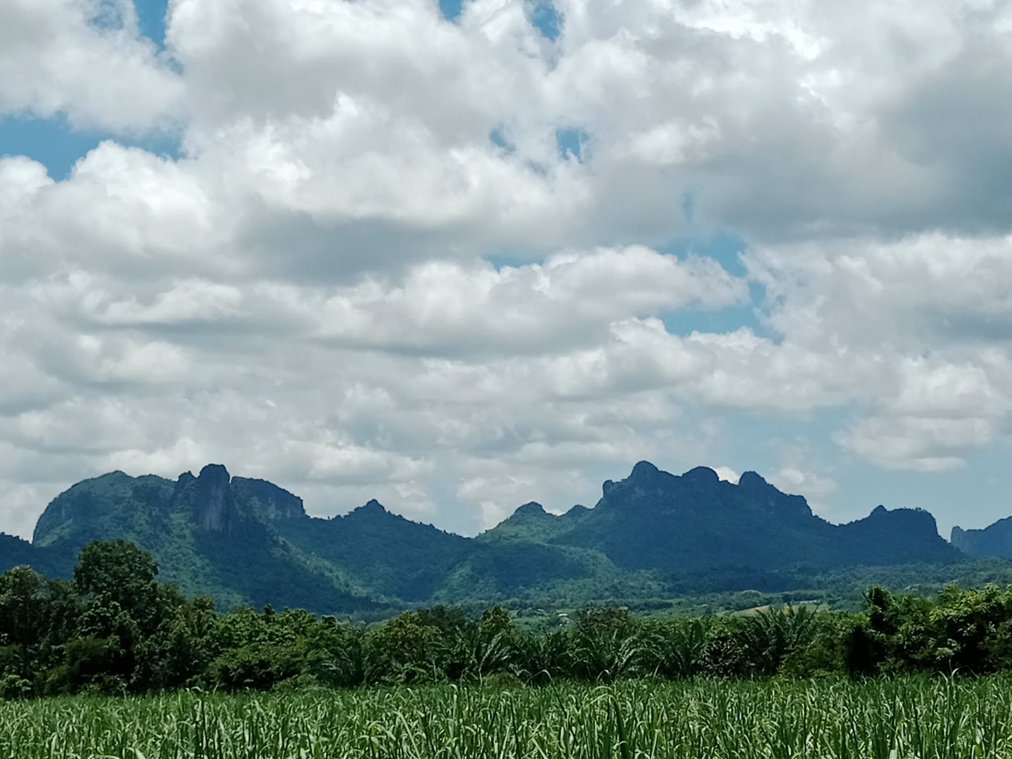 ที่ดิน 32 ไร่ สวยๆวิวผานกเค้า ท่ามกลางธรรมชาติ