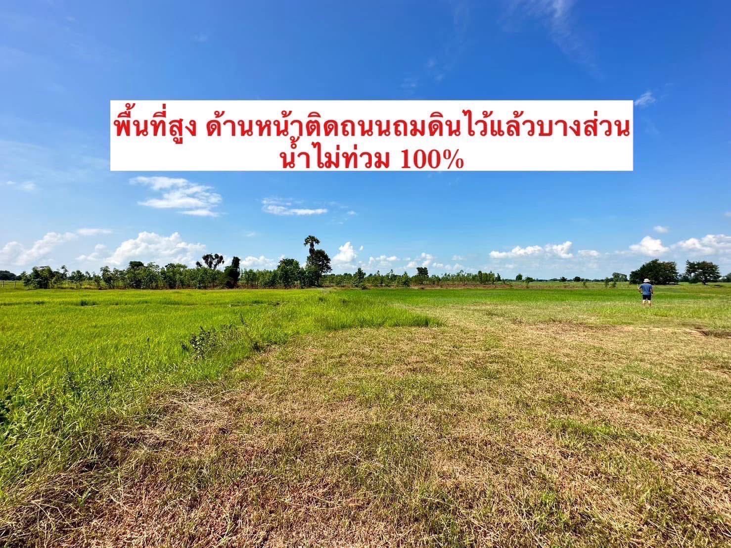 ขายที่ดินบุรีรัมย์ กระสัง ติดถนนใหญ่ 4 เลน ทำเลทอง เส้นบุรีรัมย์-สุรินทร์