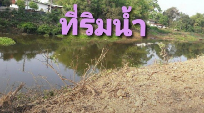 ที่ดินติดคลอง