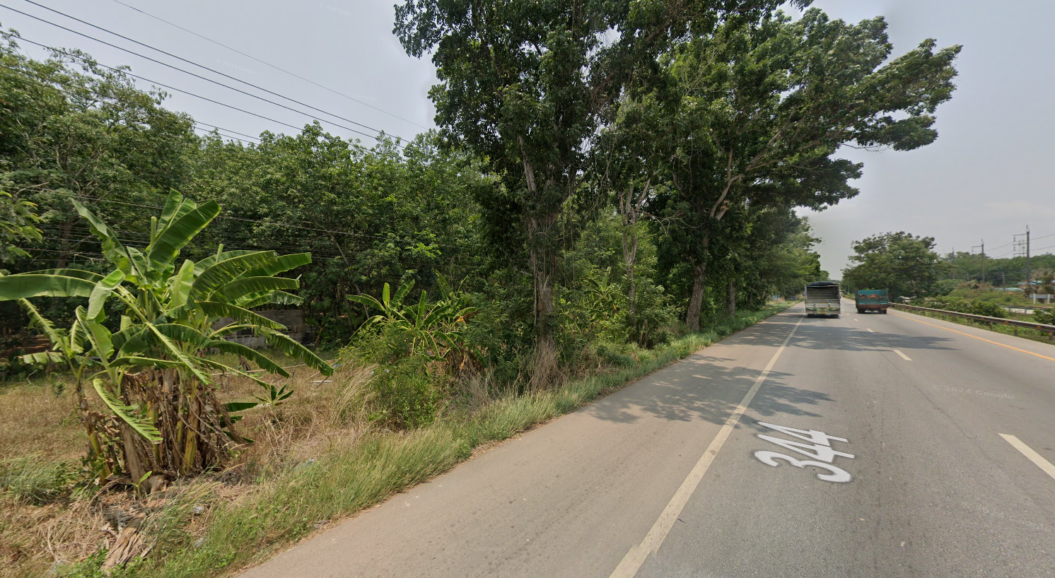 ขายที่ดินระยอง อำเภอวังจันทร์ ที่ดินพร้อมสวนยางทำเลดี