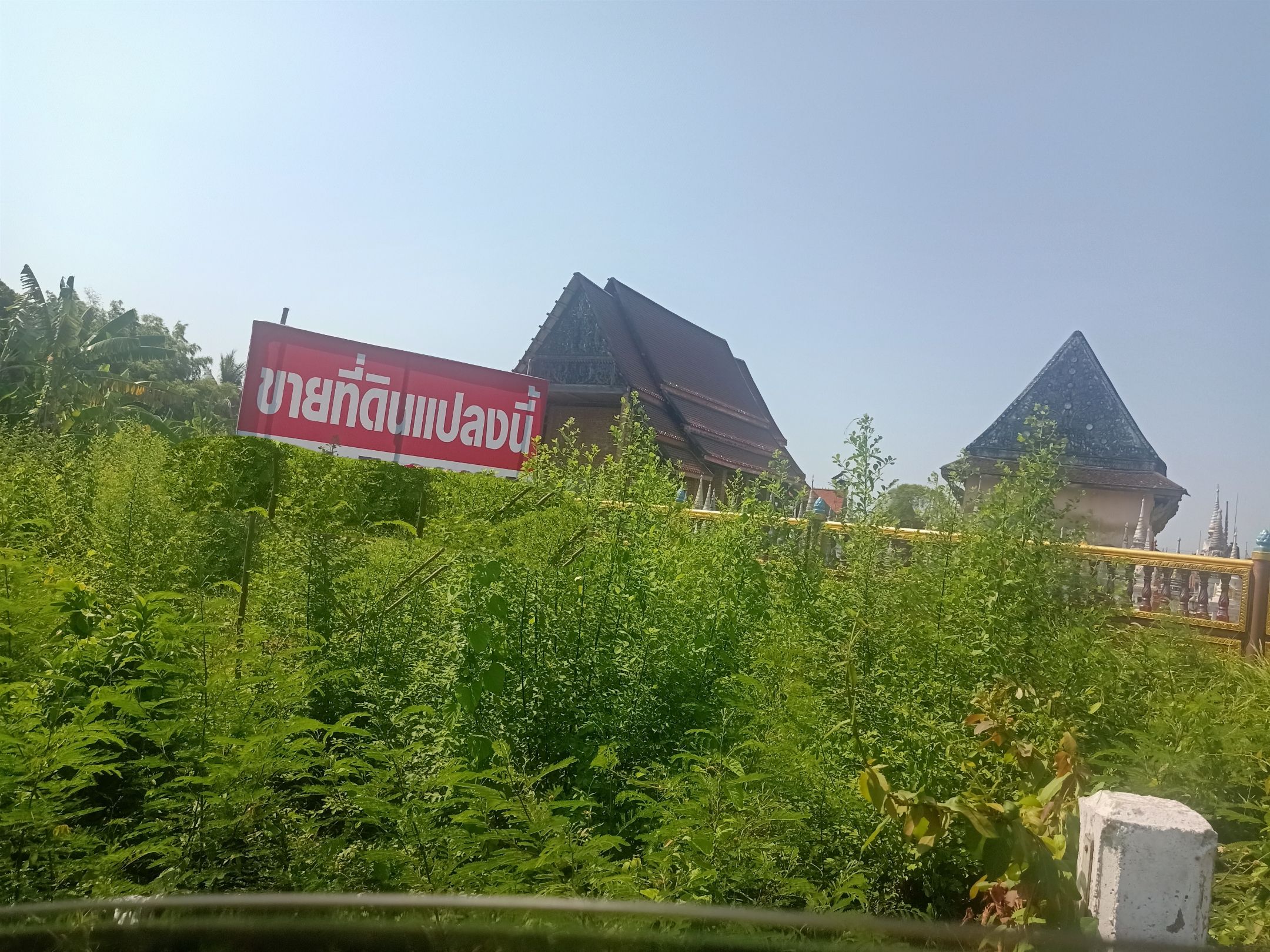 ขายที่ดินติดถนนหลังวัดเหมืองใหม่ ซื้อถวายวัดก็ดี ซื้อเก็บก็ได้ค่ะ ฟรีค่าโอน