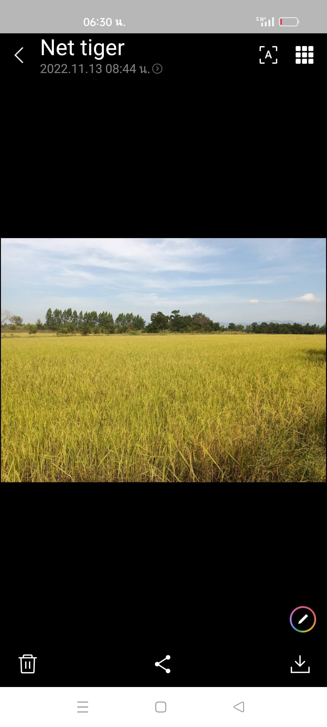 ขายที่ดินโฉนด นส4จ ใกล้เทศบาลพลวงสองนาง