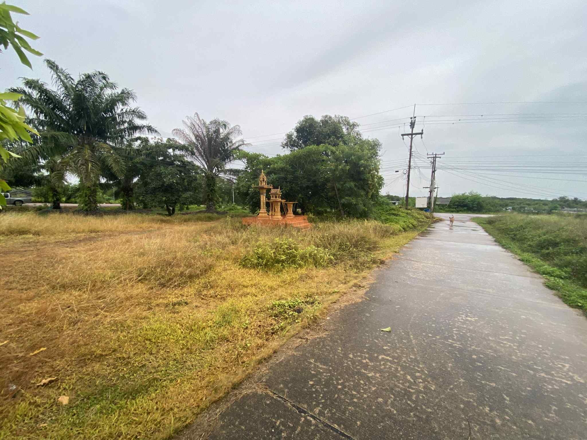 ขายที่ดินชุมพร อำเภอเมือง ติดทะเล