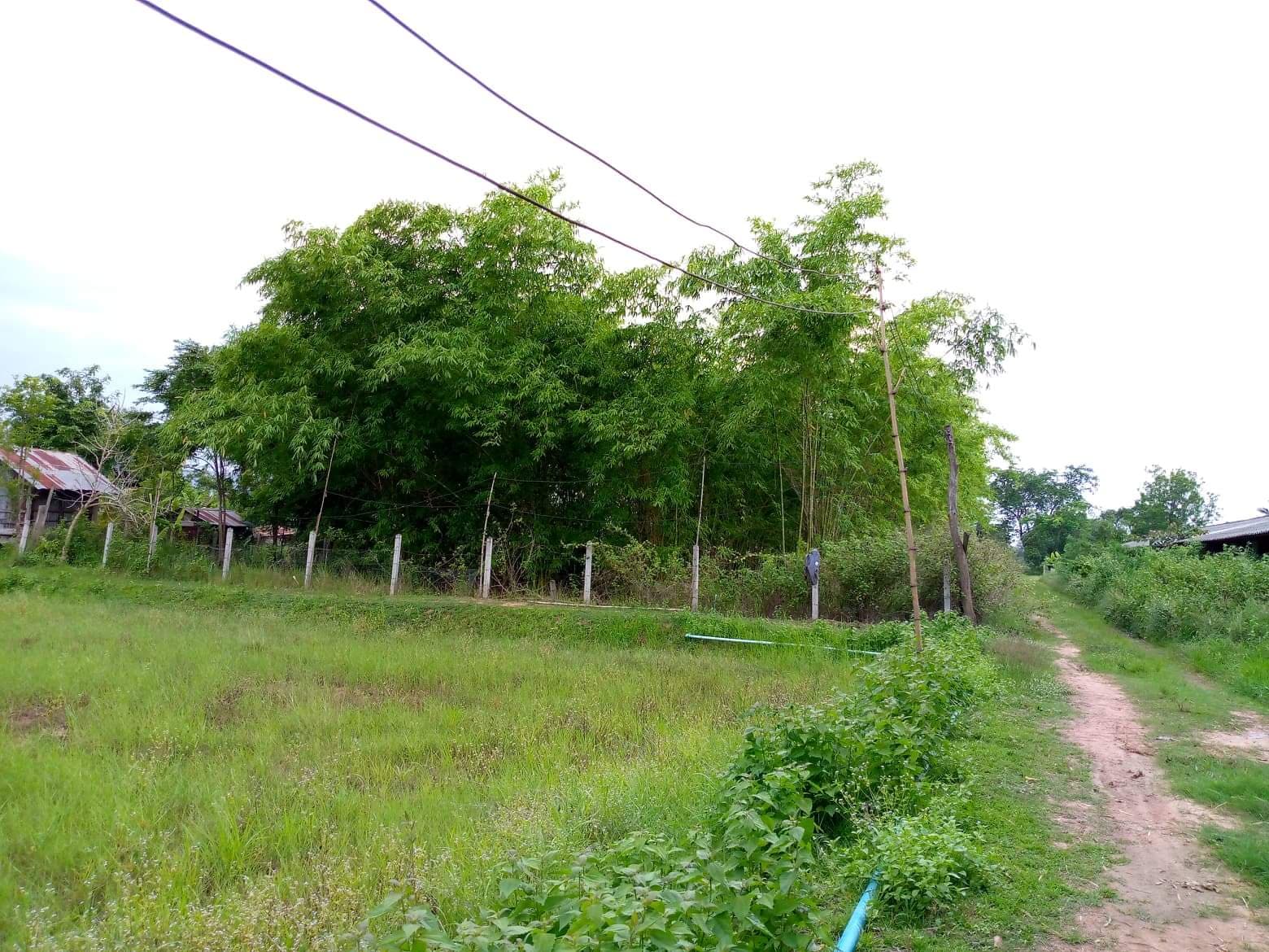ที่ดินเปล่า อ.เมืองหนองบัวลำภู จ.หนองบัวลำภู 4-3-55