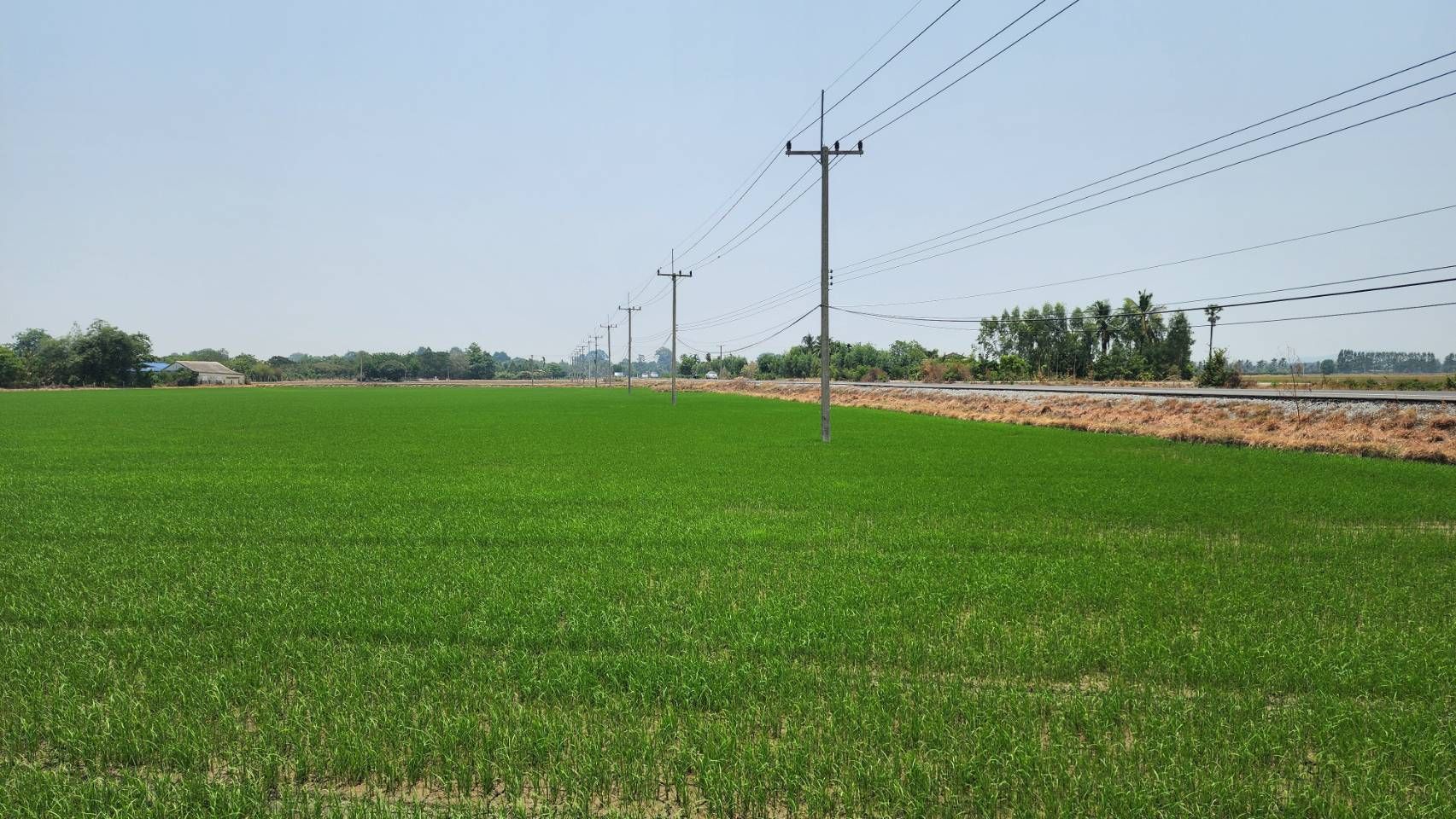 ที่ดินติดถนนใหญ่-ติดแม่น้ำท่าจีน ราคาไร่ละไม่ถึงล้าน มีอยู่จริง