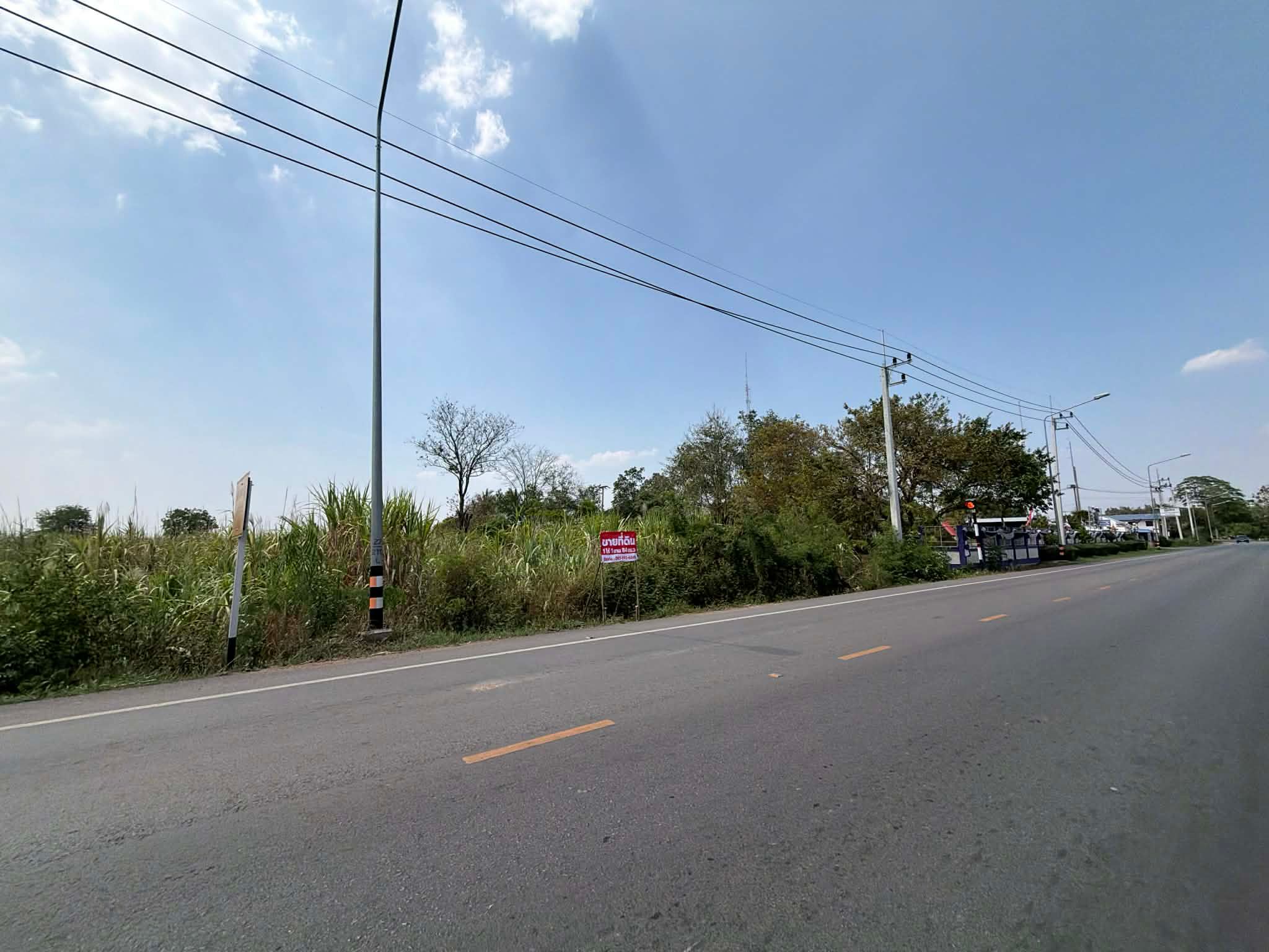 ขายที่ดินนครราชสีมา จักราช ขายด่วน