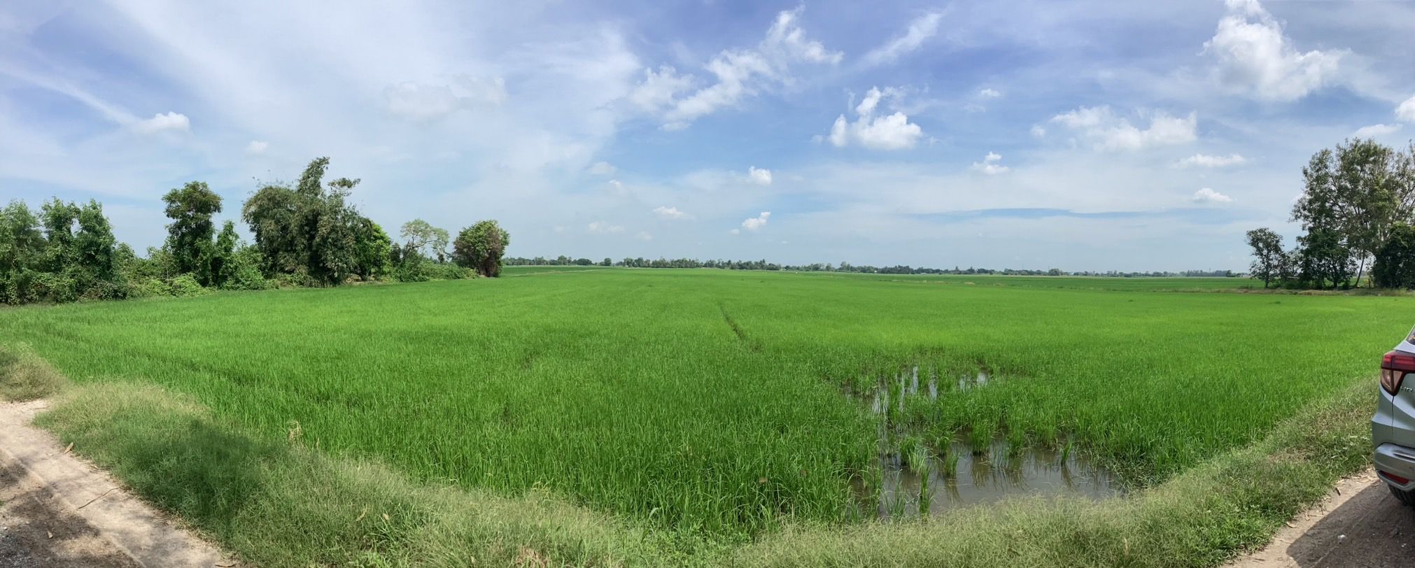 ขายที่ดินแปลงใหญ่ 302 ไร่ ลาดหลุมแก้ว ปทุมธานี 