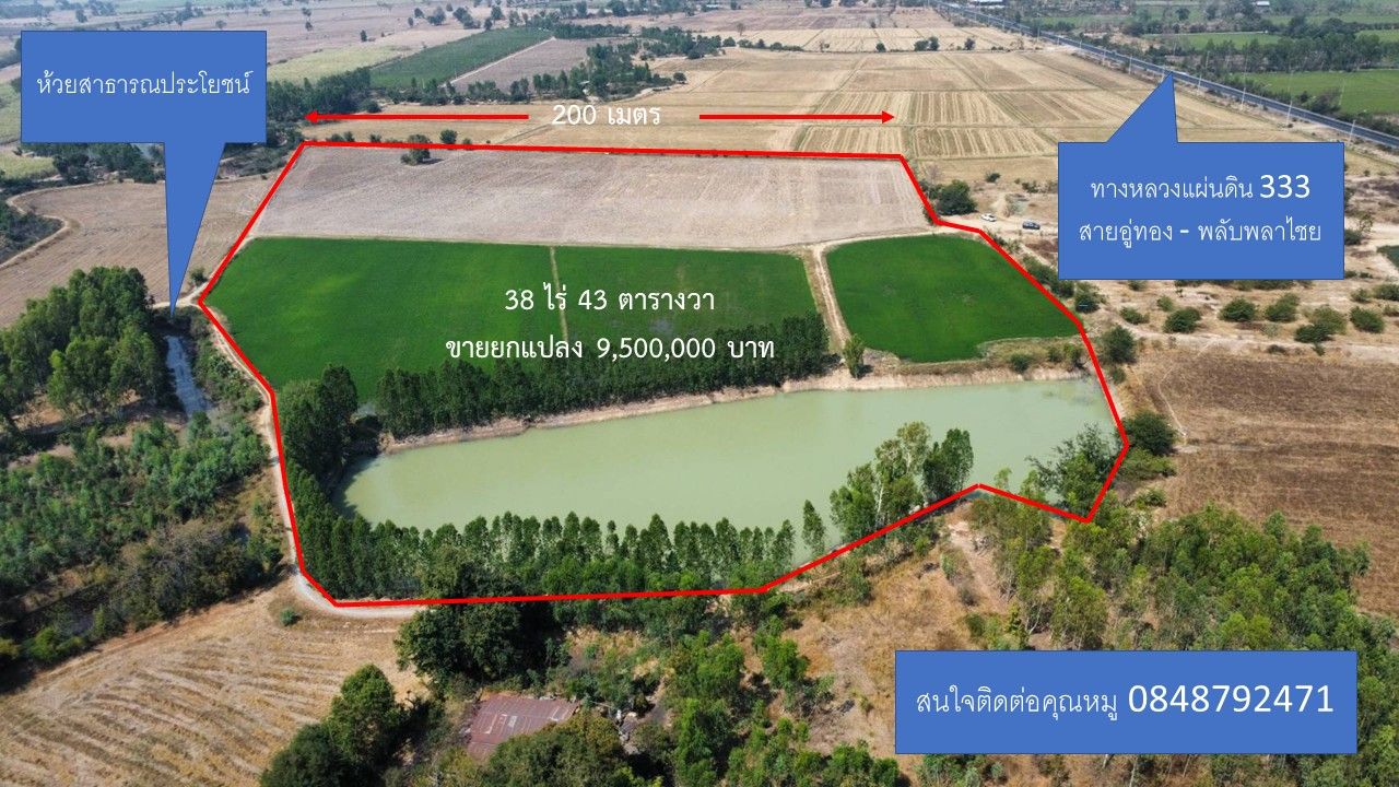 ขายที่ดินสุพรรณบุรี อำเภออู่ทอง ขายด่วนที่นาทำเลดี พื้นที่ ต.พลับพลาไชย