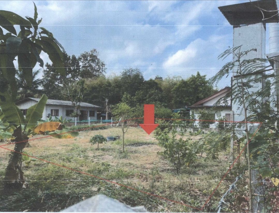 ขายด่วน! เนื้อที่ 1งาน 1.9แสน ต.พะเนา อ.เมืองโคราช