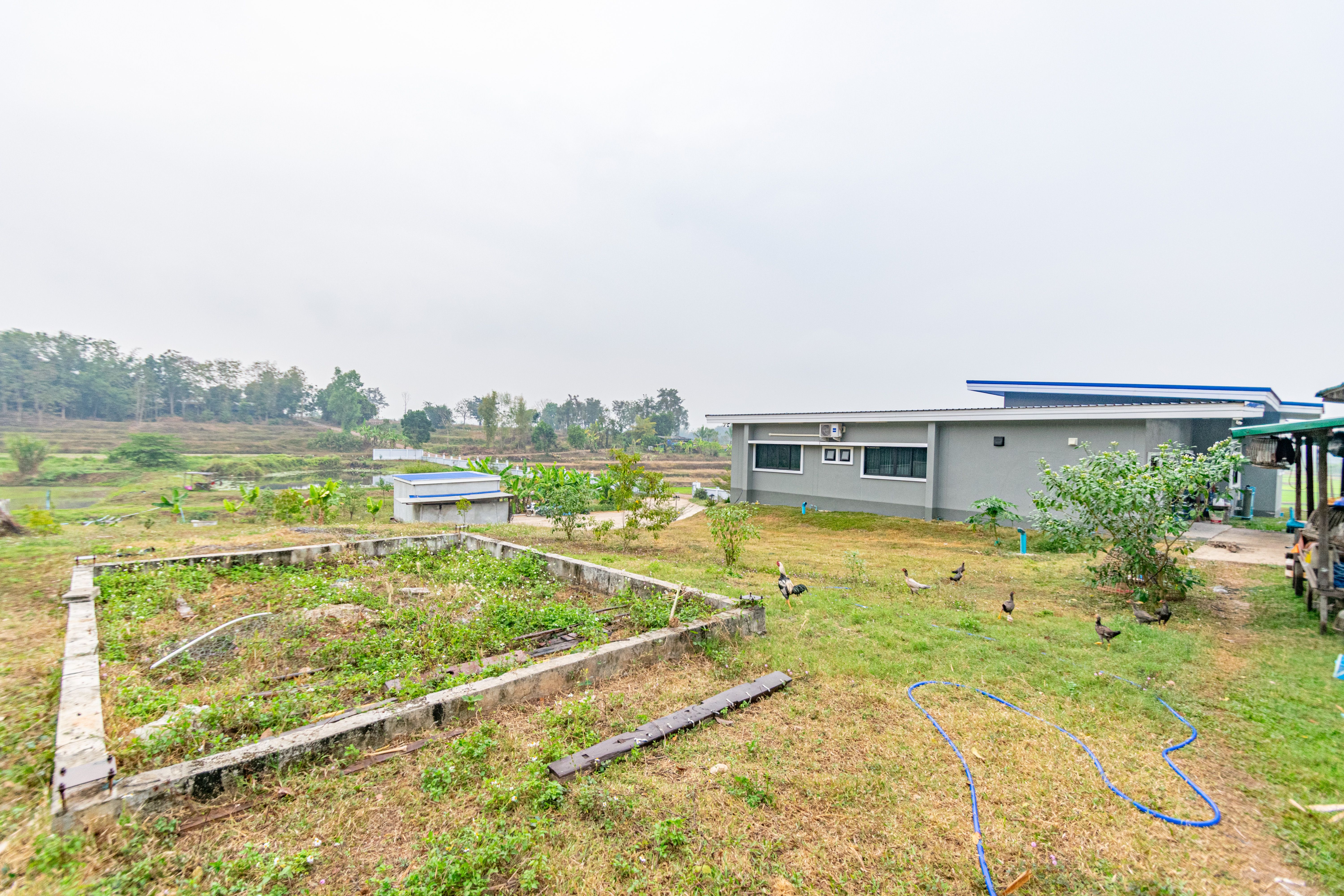 ขายบ้านพร้อมที่ดิน ลำปาง 13-0-17.2 ไร่