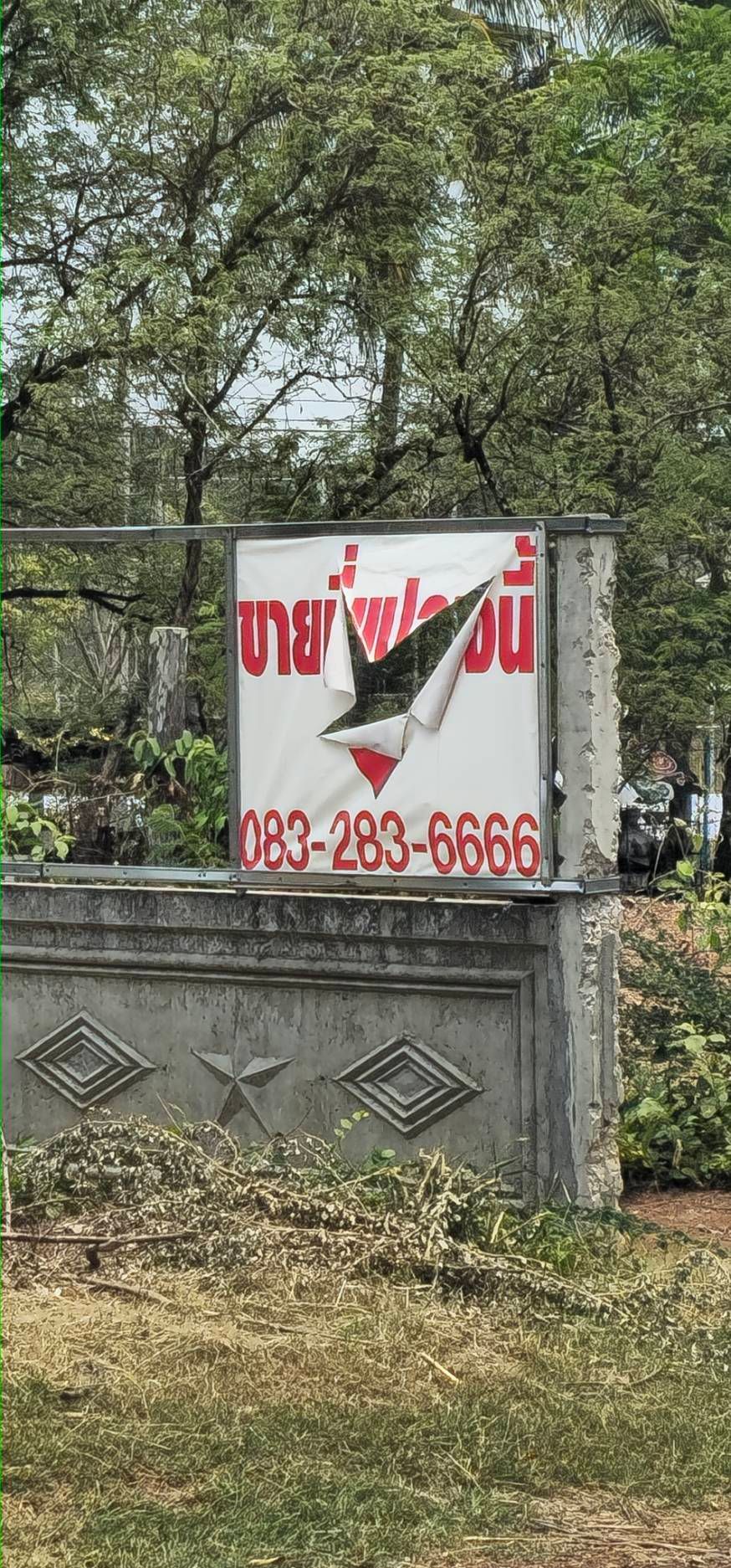 ขายที่ดินบ้านหนองขามหลังค่ายเสนีย์รณยุทธ