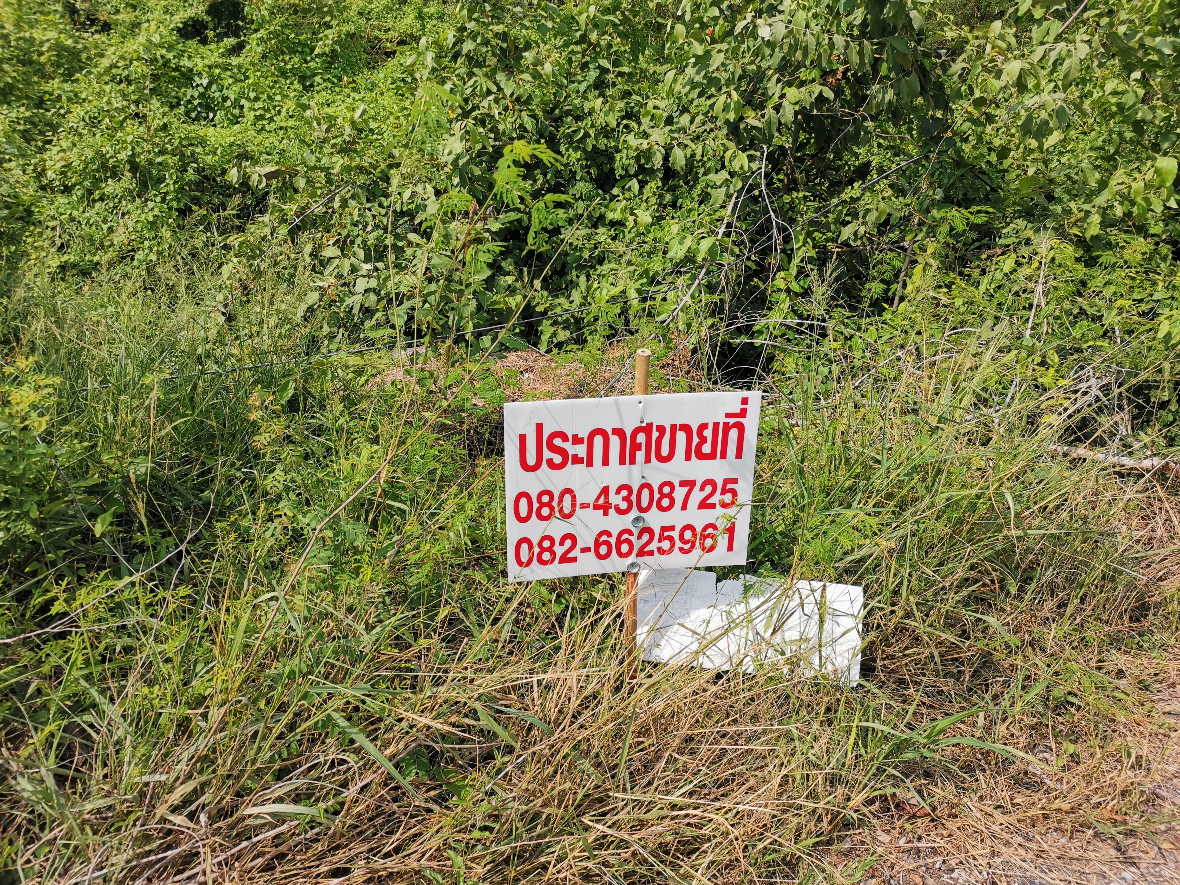 ขายที่ดินเปล่า