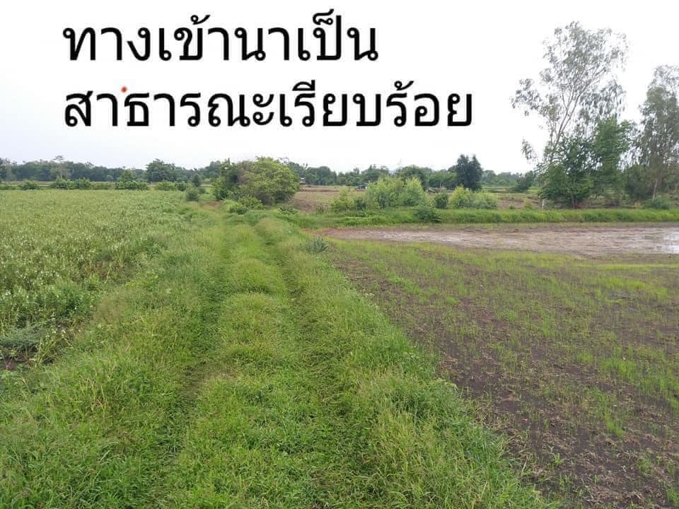 ขายที่ดินลพบุรี อ.บ้านหมี่ 17-0-55 ไร่