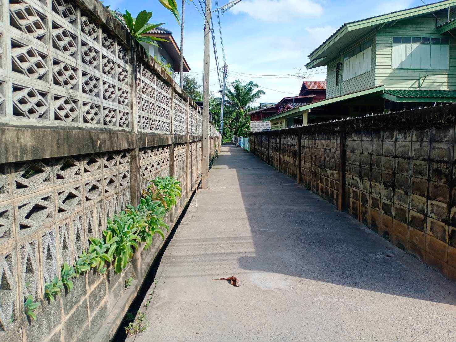 ขายที่ดิน 208 ตรว.