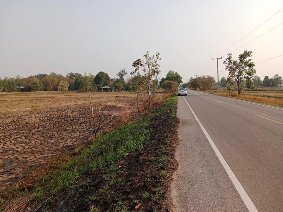 ขายที่ดิน กาฬสินธุ์ 1-0-20 ไร่
