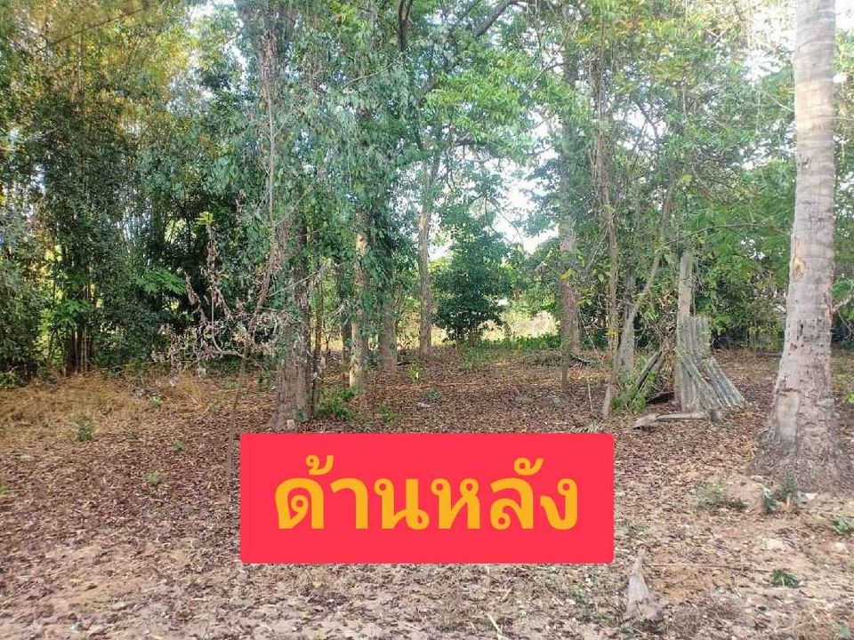ที่ดินเปล่า ทำเลสวย พิษณุโลก 328 ตรว.