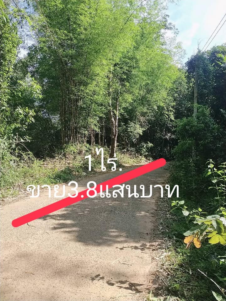ที่ดิน อยู่ในชุมชน อ.เมือง อุบลราชธานี 1 ไร่