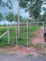 ทีดินสวนยางอายุ 8 ปี นครศรีธรรมราช 8-2-91