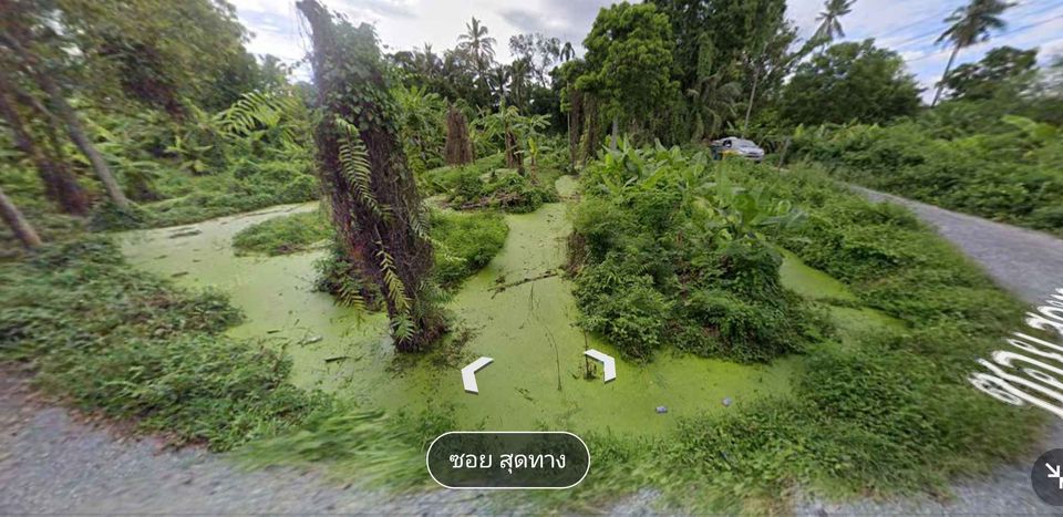 ที่ดินเขต อ.เมืองนนทบุรี ใกล้ กทม นนทบุรี 1-2-18