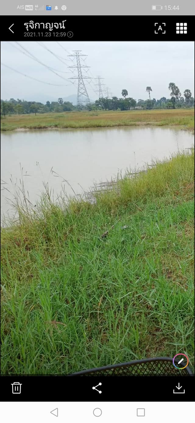 ที่ดินติดถนนราดยางเป็นที่นา บ้านลาด เพชรบุรี 8 ไร่