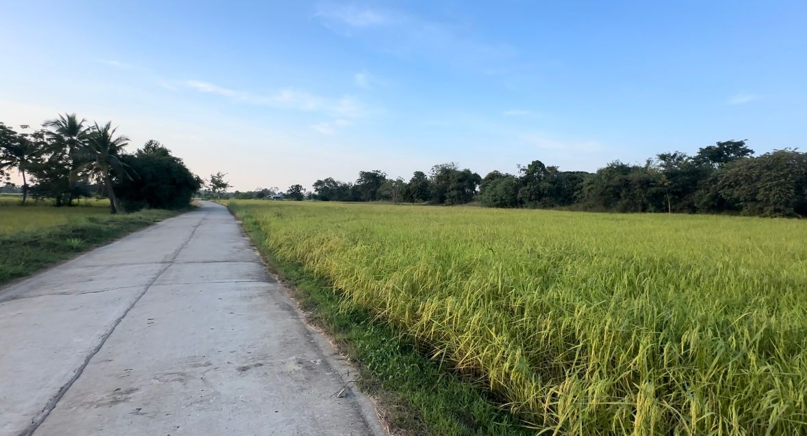 ประกาศขายที่ดิน อ.เชียงยืน ห่างจากตัวเมืองขอนแก่นเพียง 15 กม.