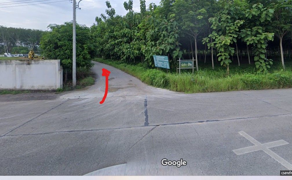 ที่ดินสวนยาง อ.เมืองสุราษฎร์ธานี จ.สุราษฎร์ธานี 2 ไร่