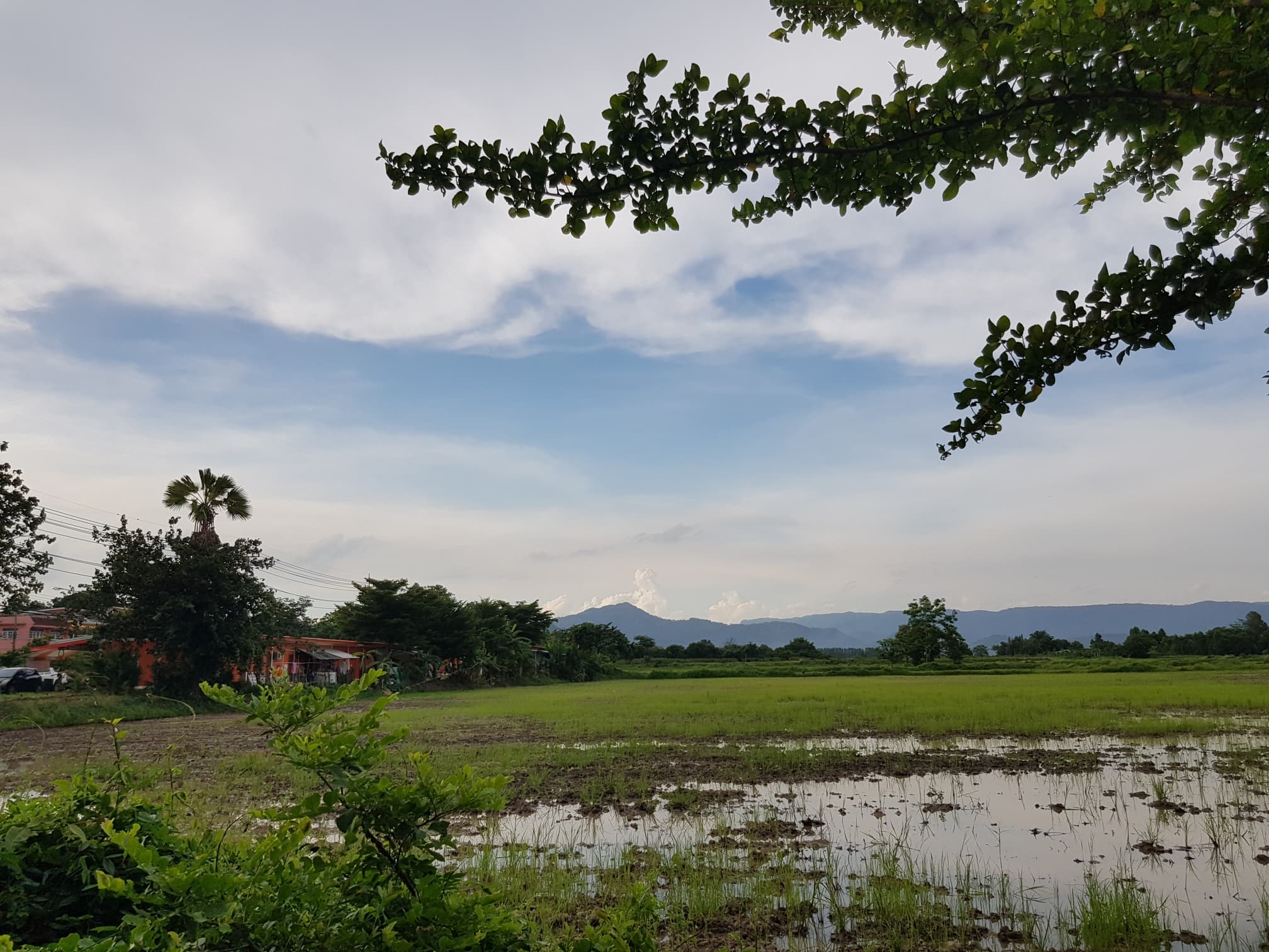 ที่ดินเปล่า อ.เมืองนครนายก จ.นครนายก 77-1-28