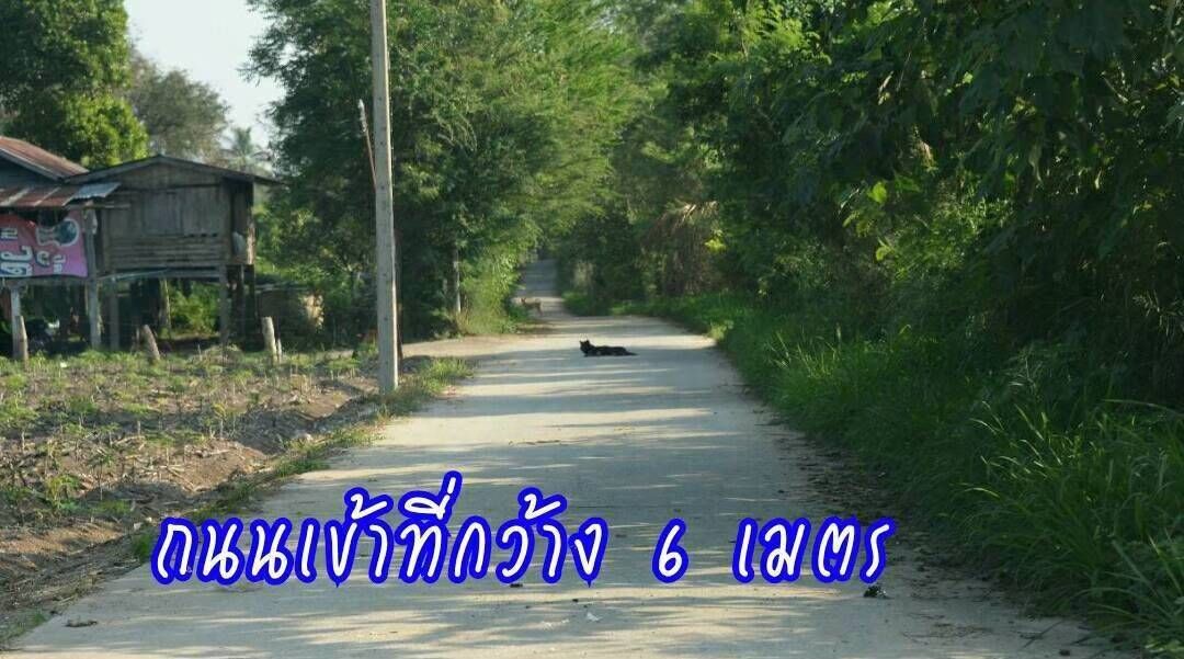 ที่ดินตินคลองน้ำ3ด้าน พร้อมโอน ทำโครงการใหญ่