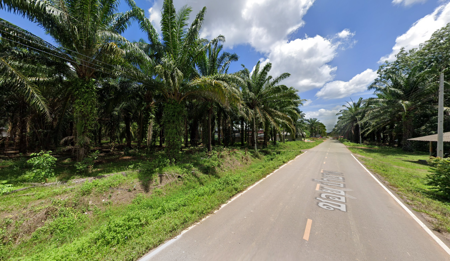 ขายที่ดินชุมพร อำเภอหลังสวน ที่ดินแปลงสวย ติดถนนซอยป่ายาง เดินทางสะดวก น่าลงทุน 2-2-40.8 ไร่.