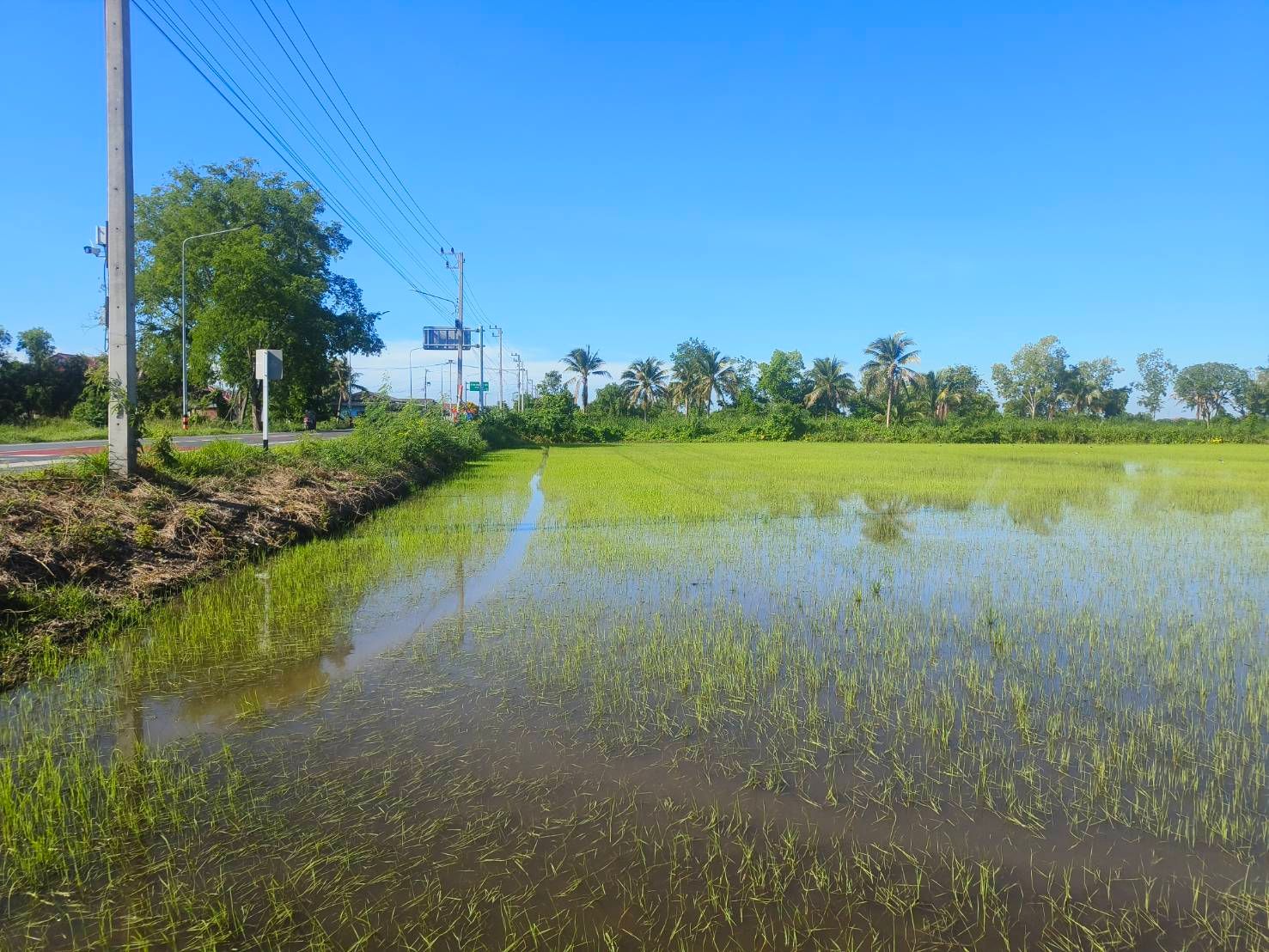 ขายที่ดินปทุมธานี ลำลูกกา คลอง14