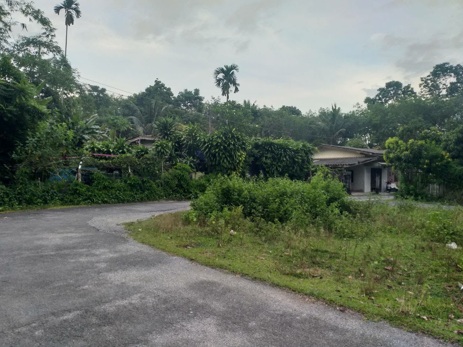ขายที่ดินพร้อมบ้านเก่าหนึ่งหลังโครงสร้างแข็งแรง