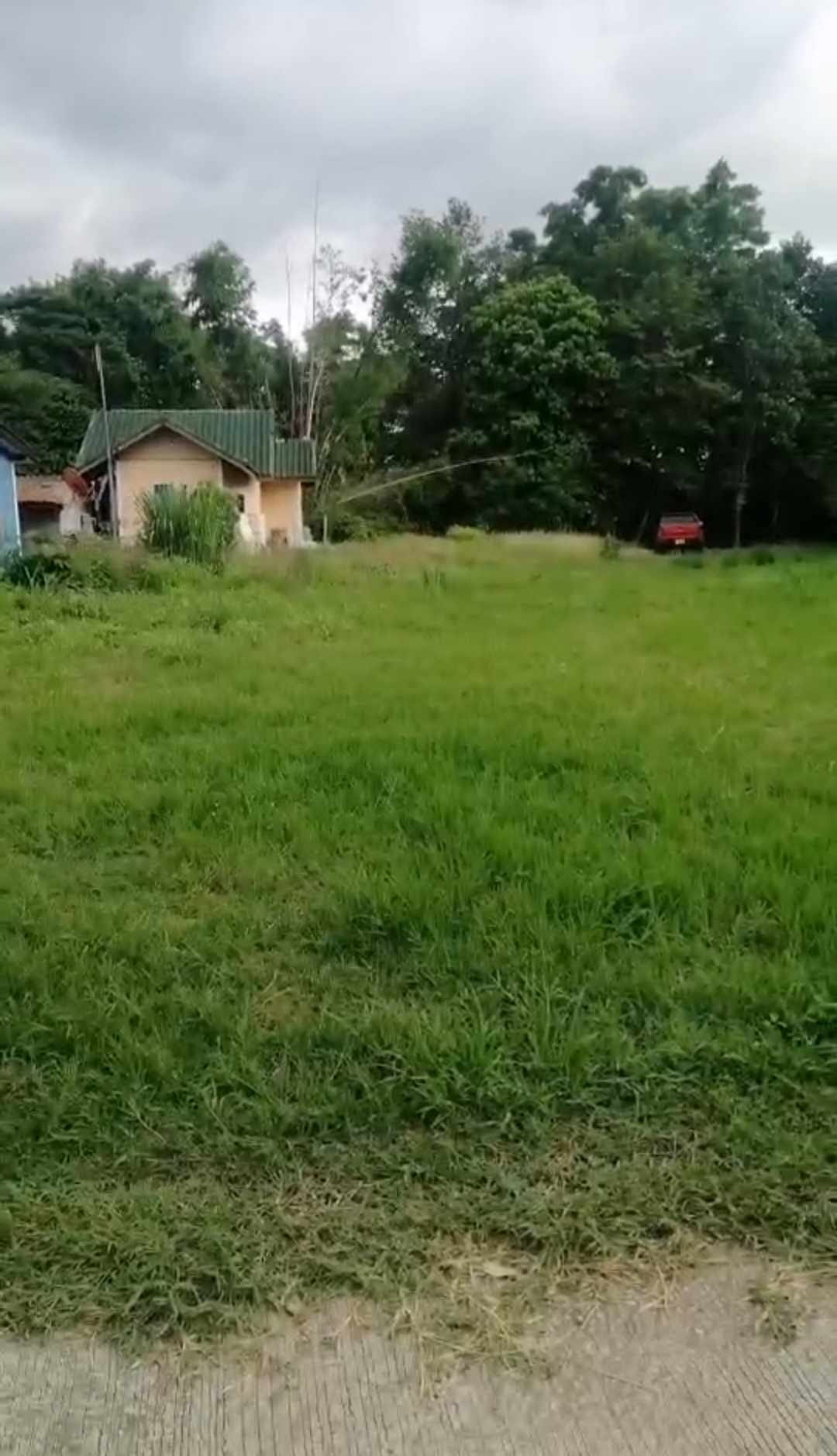 ที่ดินติดถนนและติดคลองลำตะคลอง