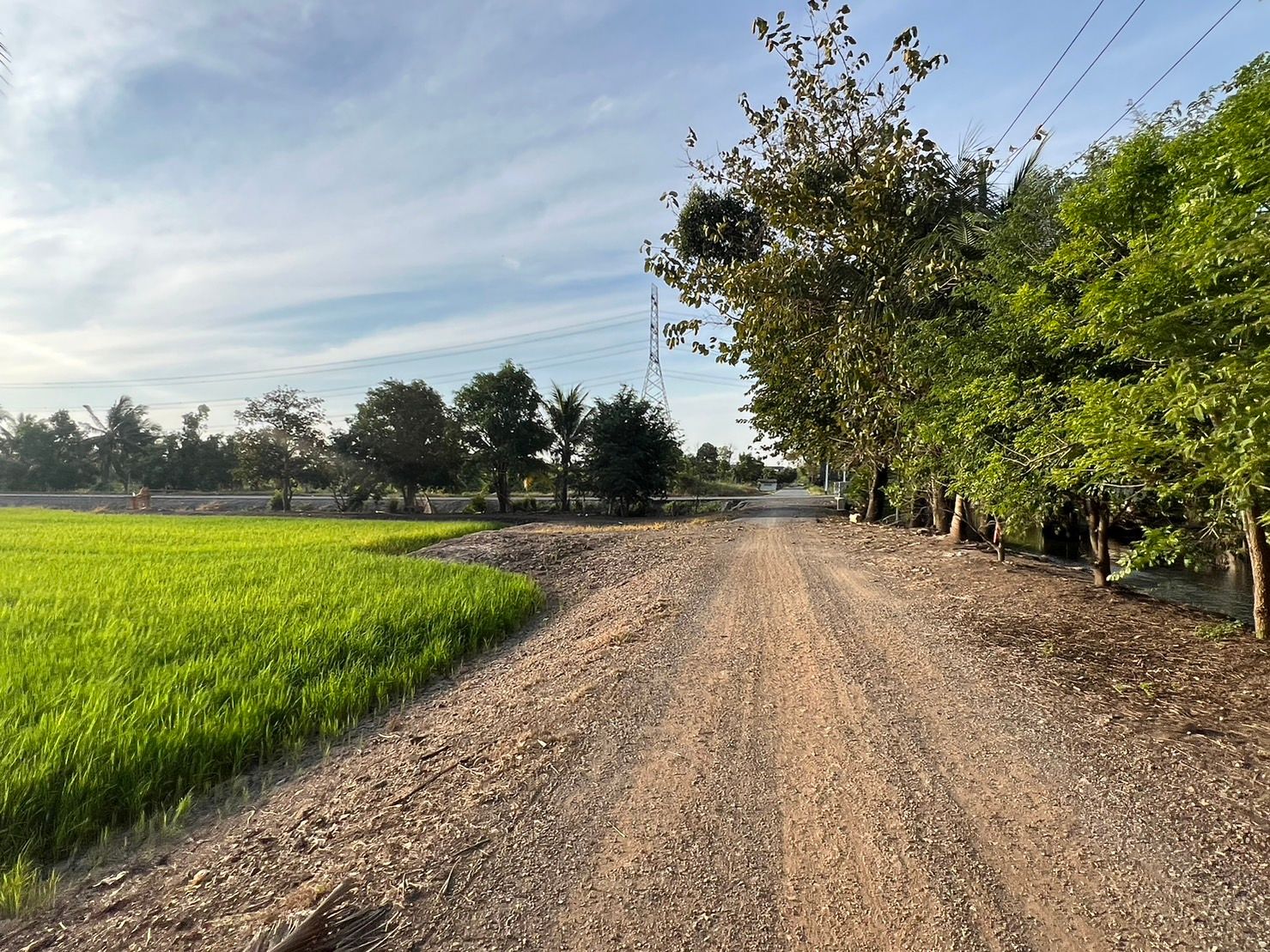 ขายที่ดินไทรน้อย พื้นที่สีม่วง