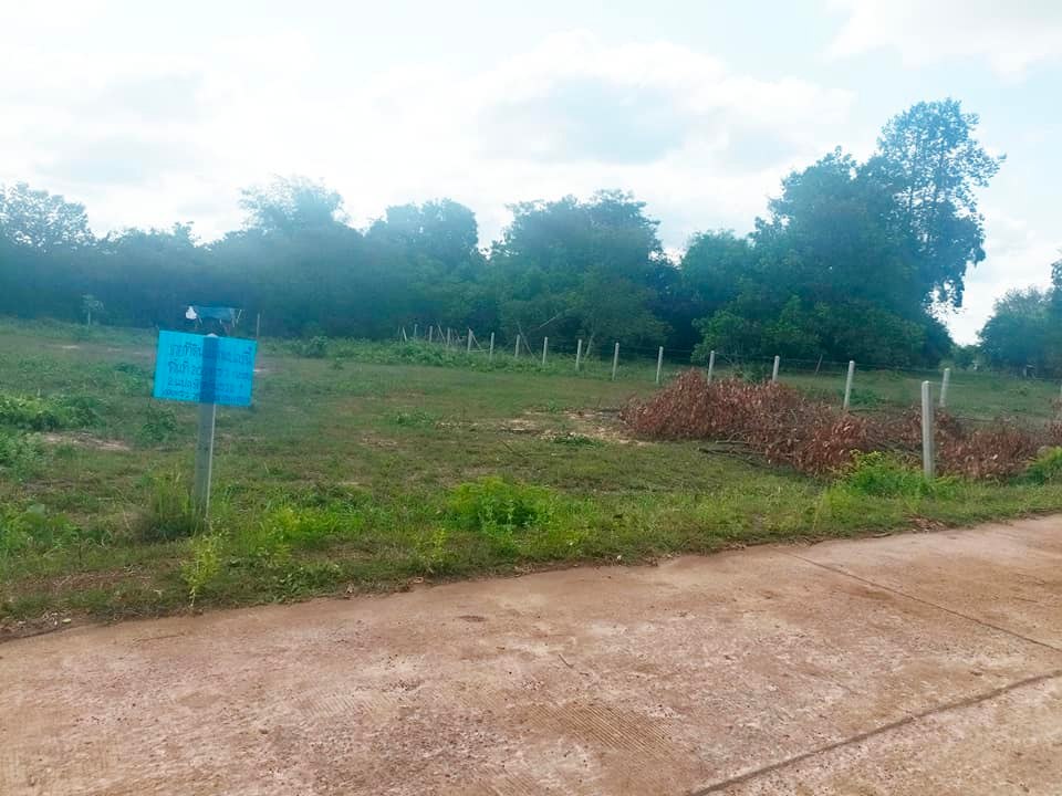 ที่ดิน ตรงข้ามหน้าโรงเรียนหนองบัว อุดรธานี 2 งาน
