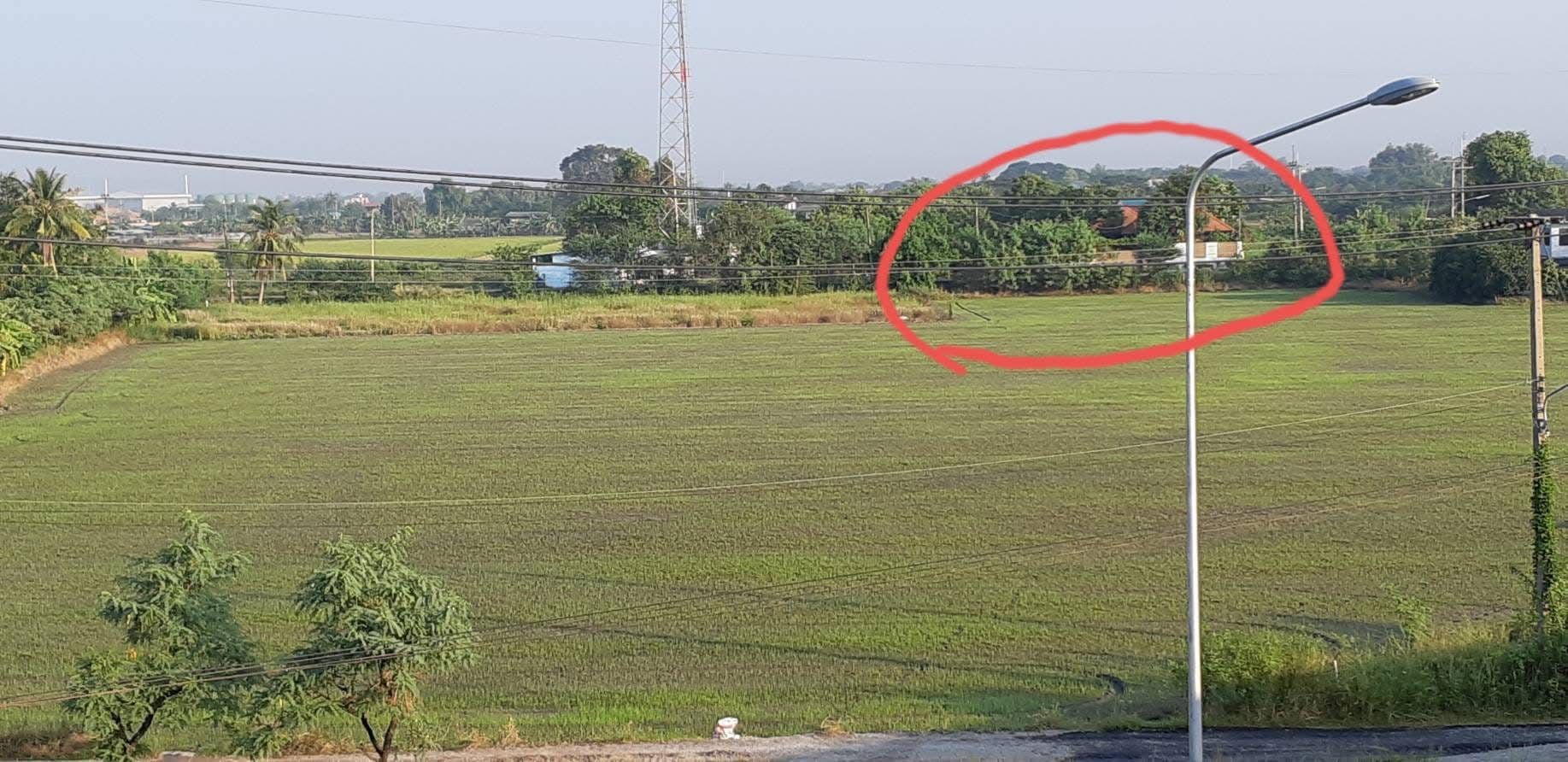 ที่ดินราชพฤกษ์ตัดใหม่ ปทุมธานี