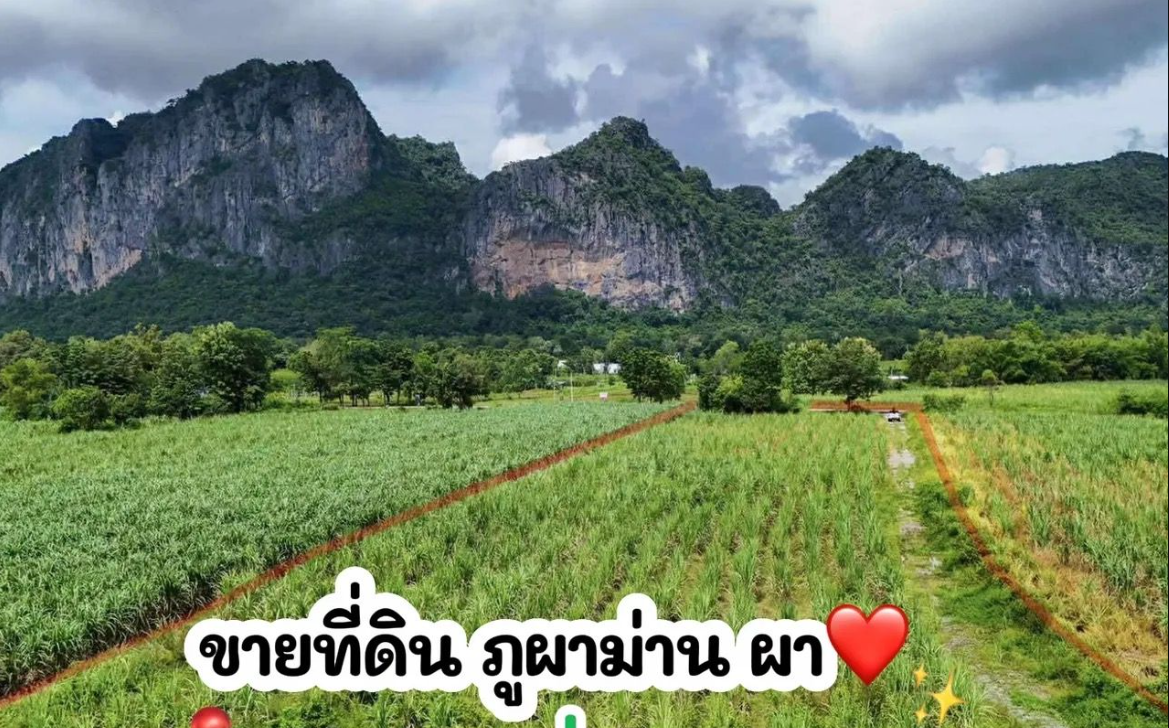 ขายที่ดินอำเภอภูผาม่าน เป็นแหล่งท่องเที่ยวมาแรงในช่วงนี้