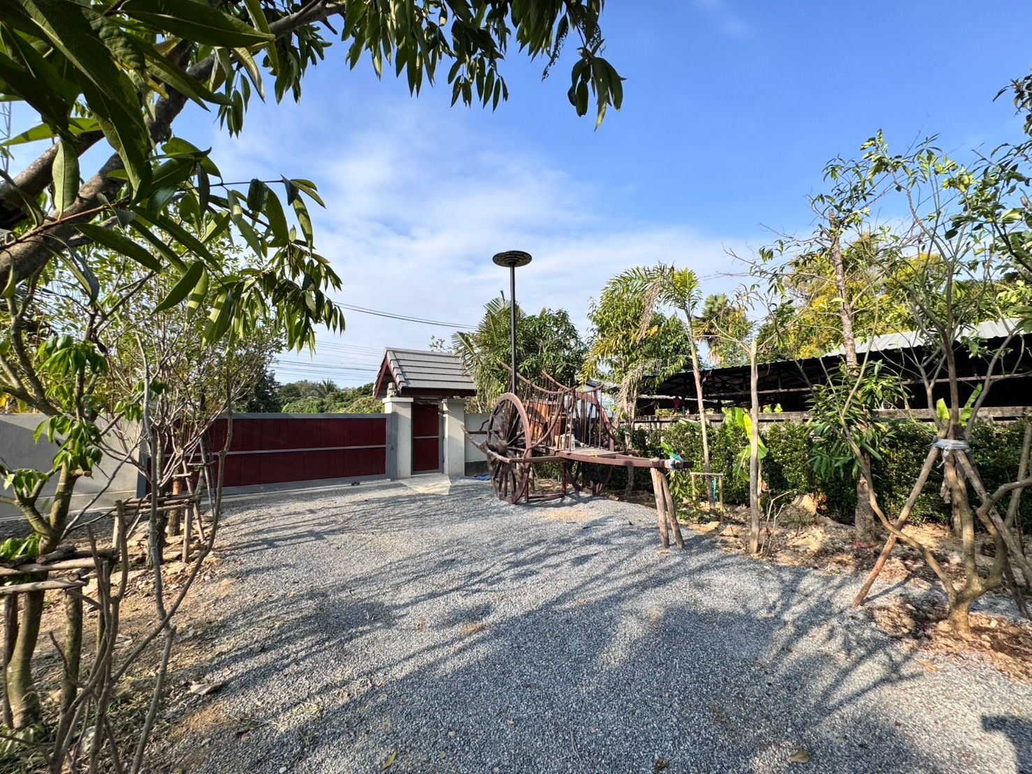 ขายบ้านเชียงใหม่ อำเภอสารภี บ้านสวนพร้อมที่ดินแปลงสวย ทำเลงาม บรรยากาศดีมาก 