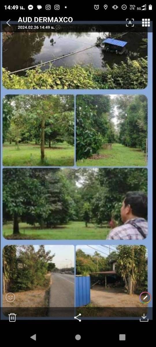 ขายที่ดินระยอง อำเภอแกลง (พร้อมบ้านและสวนทุเรียน)