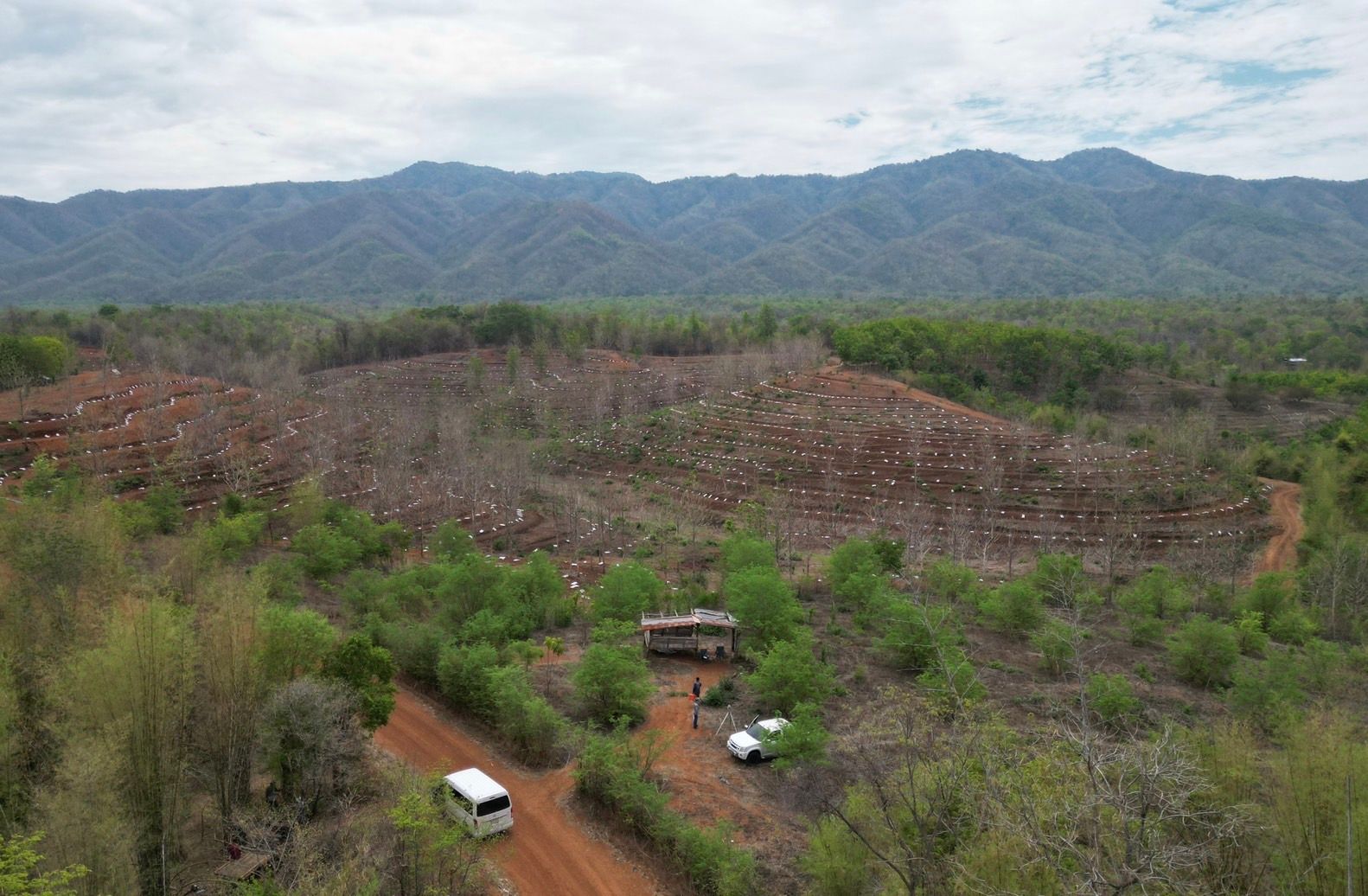 ขายที่ดินเพชรบูรณ์ ที่ดินทำเลดี บรรยากาศเยี่ยม วิวทิวทัศน์หลักสิบล้าน น่าลงทุนมาก สายลุย สายแคมป์ปิ้ง ห้ามพลาด!!! หล่มสัก เพชรบูรณ์ 