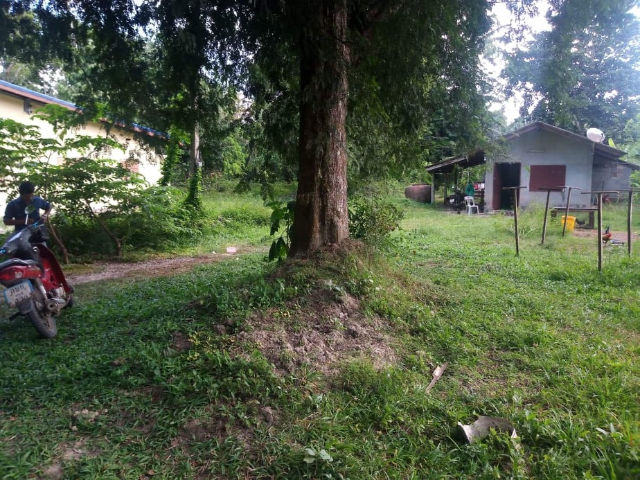 บ้านเดี่ยว บนพื้นที่ 1งาน63ตร.ว กระบี่