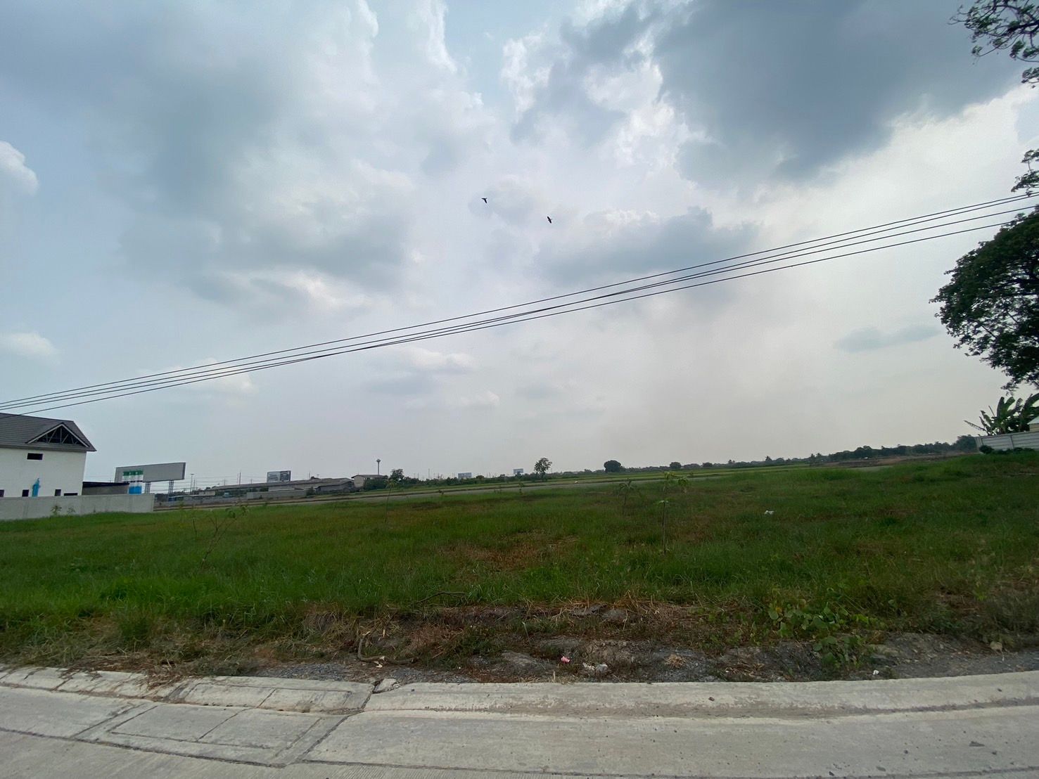 ขายที่ดินปทุมธานี ทำเลดี แปลงสวย ใกล้ดรีมเวิล์ ลำลูกกา 1-2-92