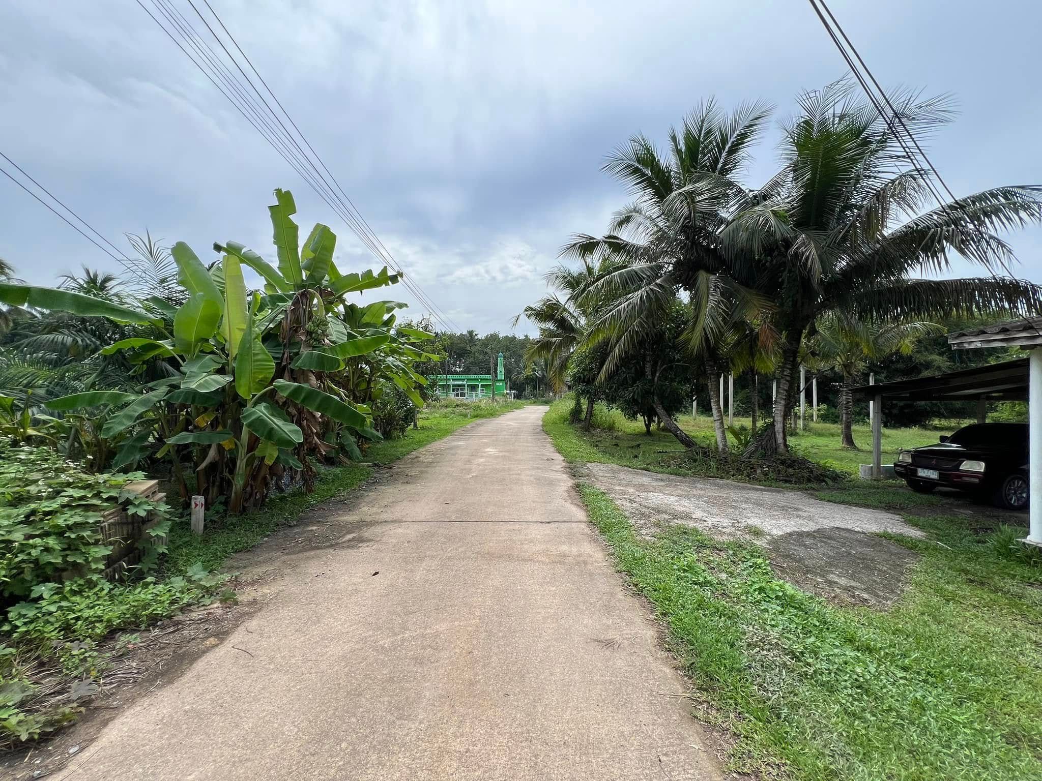 ขายที่ดิน