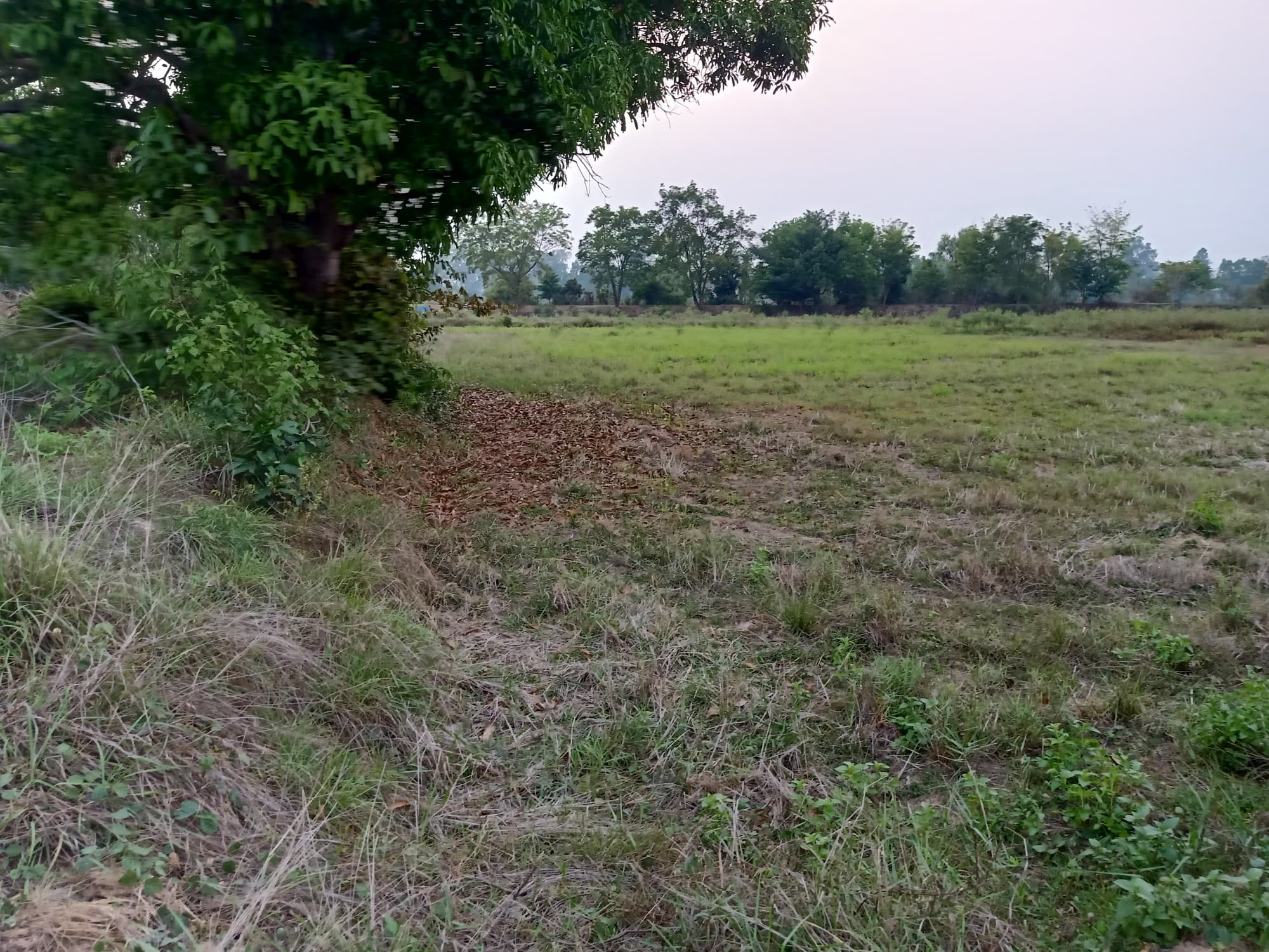 ขายที่นา อ.ธวัชบุรี จ.ร้อยเอ็ด 8-1-23